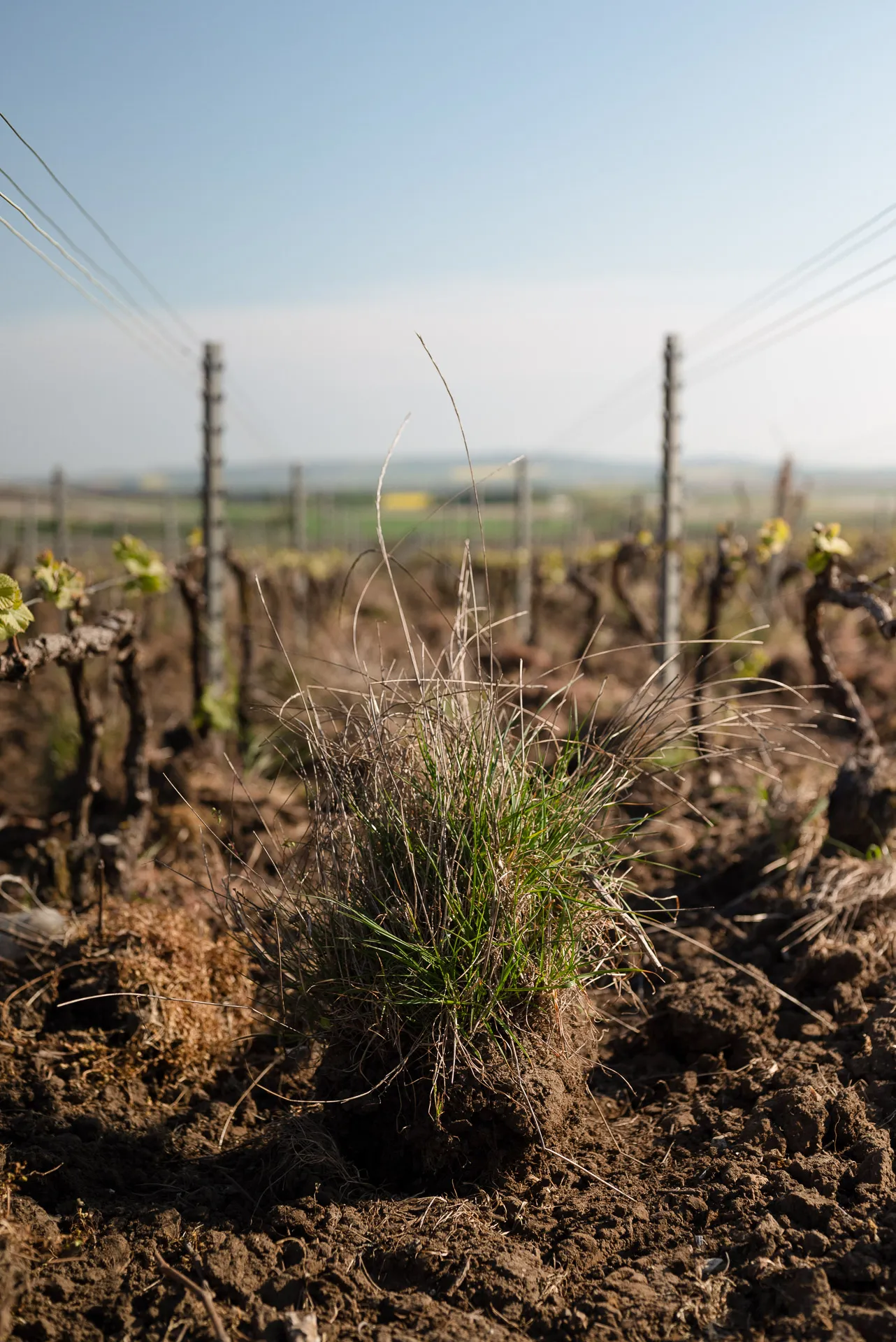 22 Mod02 TravailSol Collet AgenceDiscovery 2