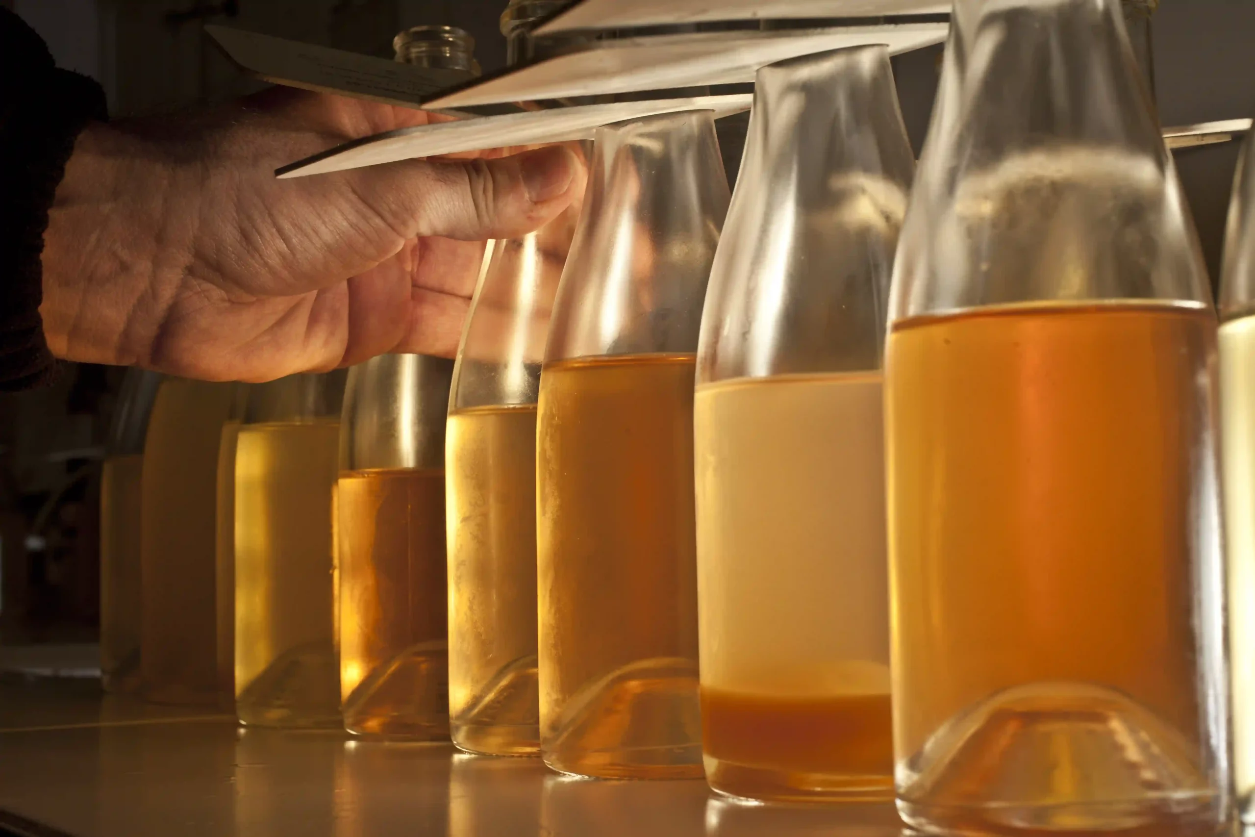 COLLET COGEVI JOHANNA DE TESSIERES 7 scaled 1