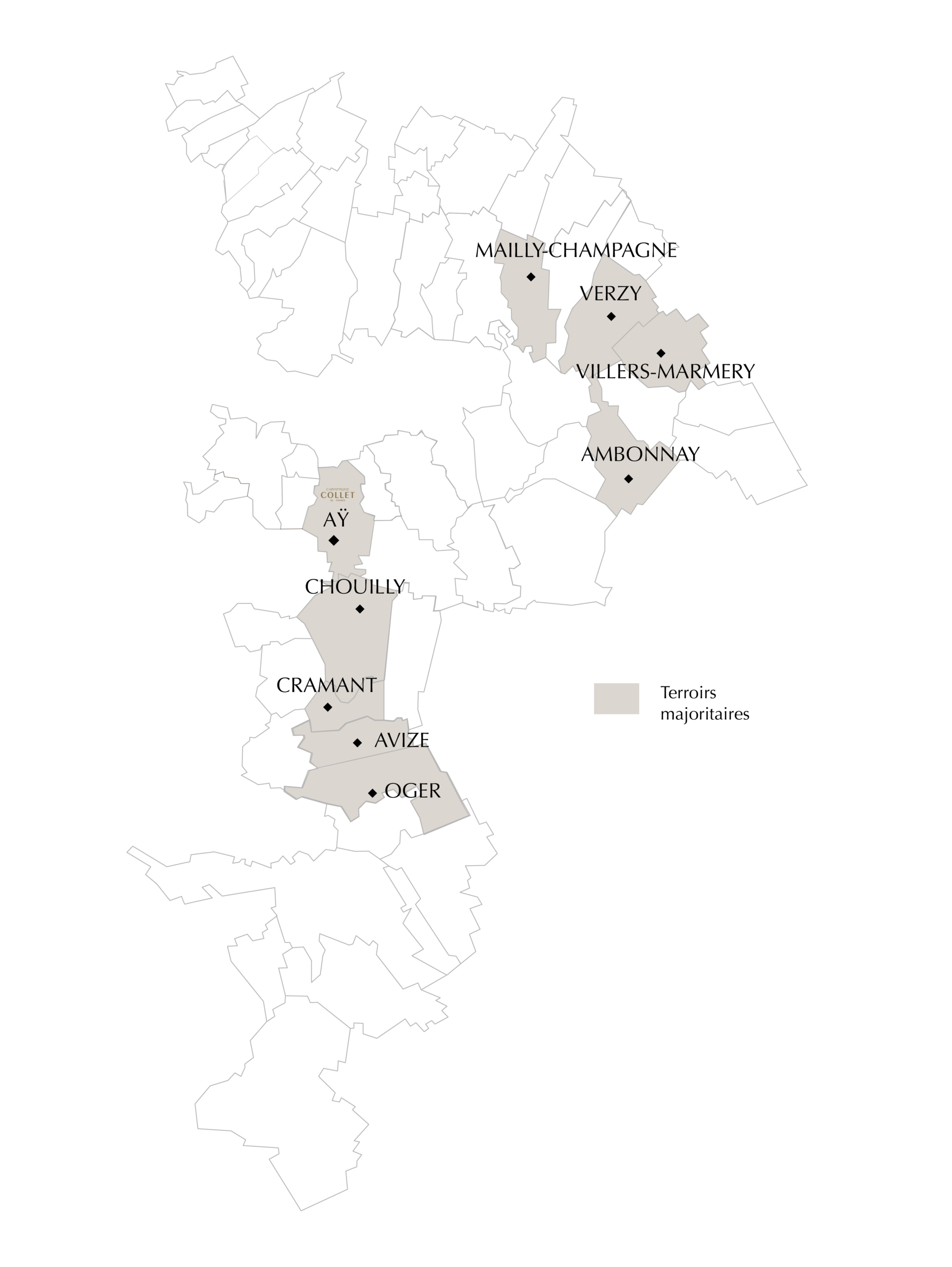 Millesime Collet 1 scaled