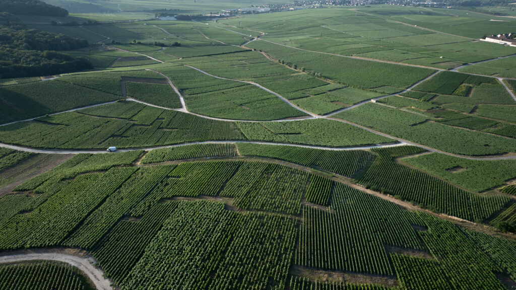 Terroirs Hautvillers V1