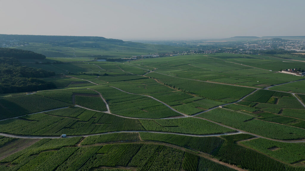 Terroirs Hautvillers V2 1