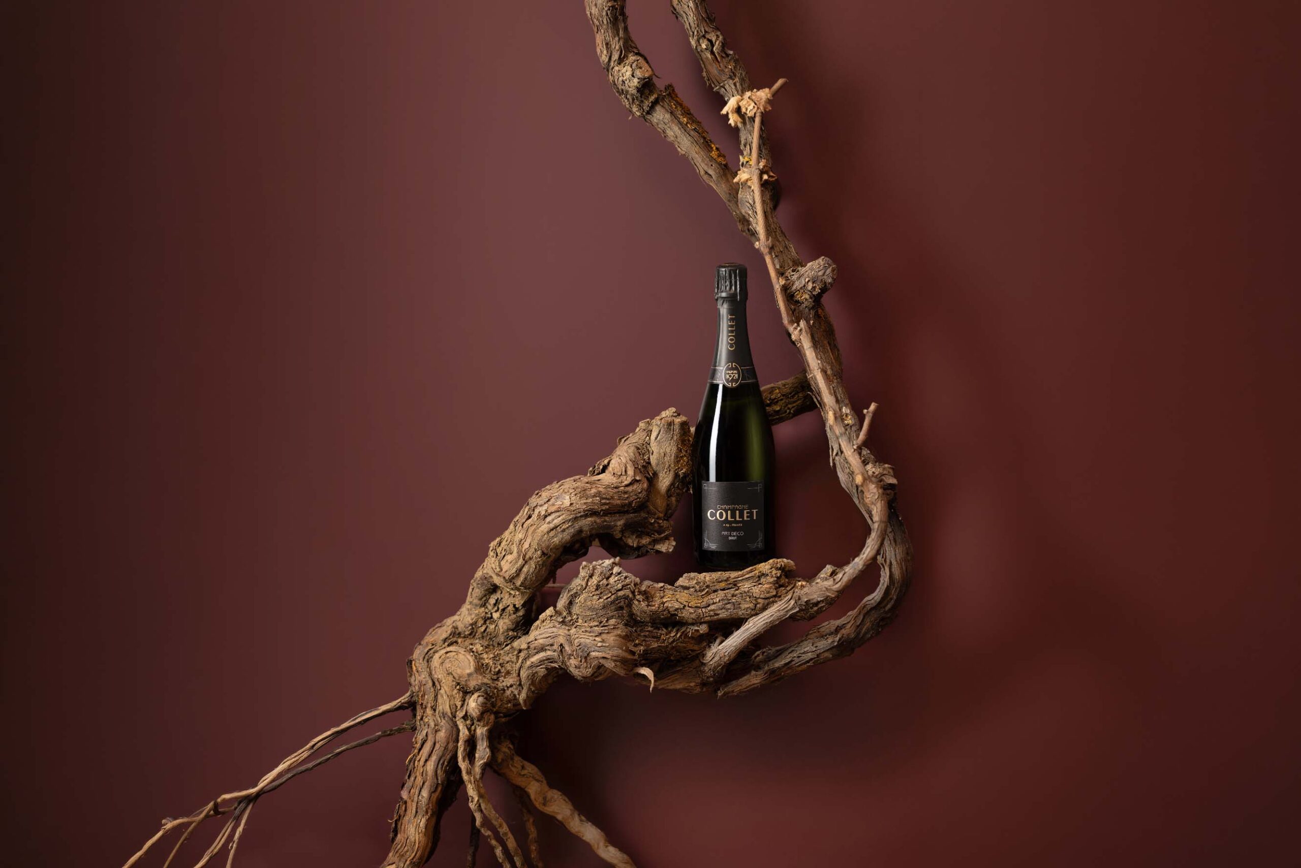 Cep de vigne Champagne Collet Art déco brut | Agence Discovery